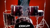 Drum And Bush... Drum And Bush...