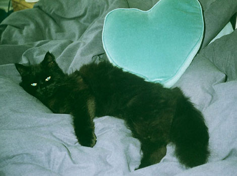 Roxanne