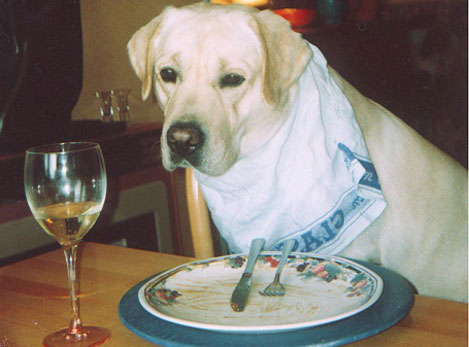 jack eating dinner