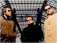 The Doves