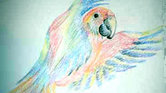 Parrot In Flight... Parrot In Flight...