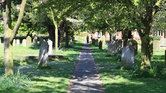 Graveyard Graveyard
