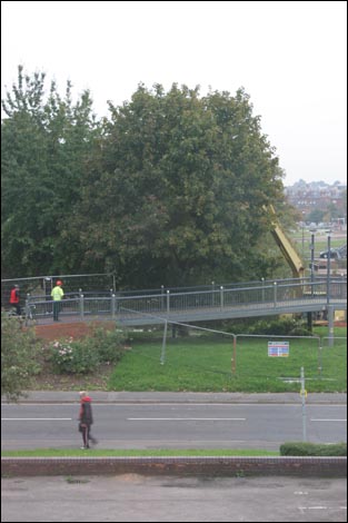 Felling a tree near the Sabrina footbridge in Worcester