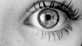 My Eye My Eye