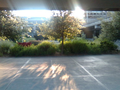 Sunny Day Seattle
