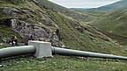 Effects of Acid Rain on Snowdon