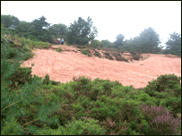 Park Hall Country Park