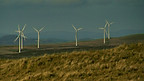 Elenydd
