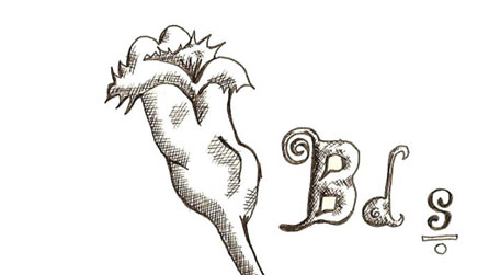 Byd Dydd Sul