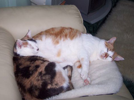 Max and Molly