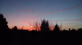 Dusk