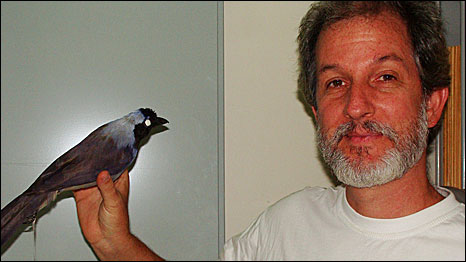 Mario Cohn-Haft