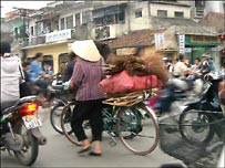 Hình minh họa