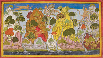 Himalayan herbs