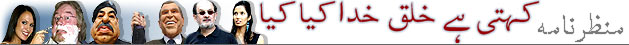 کہتی ہے خلق خدا کیا کیا