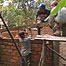 Monkey enclosure being built