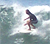 Sponger harv