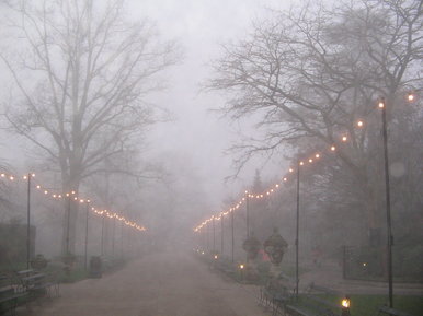 Winters day
