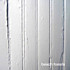 Review of Beach Fossils