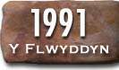 Blwyddyn