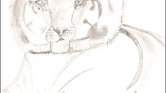 Young tiger cub... Young tiger cub...