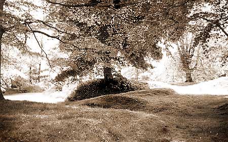 Tullyhogue Fort