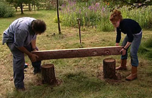 Rustic bench