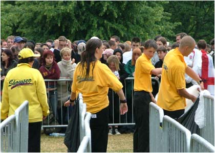 The Crowd