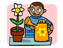Easy to grow plants