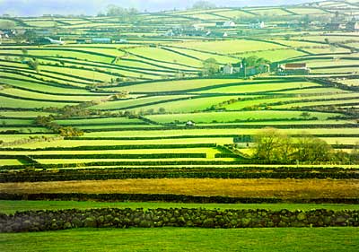 Green Fields and Dry Stone Walls - Annalong