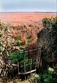Causeway leading to Church Island