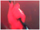Click for bigger picture