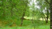 the ram park
