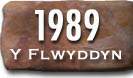 Blwyddyn