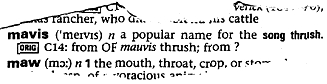mavis - dictionary definition