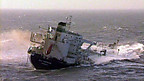Y Sea Empress - Effaith Llygredd Olew