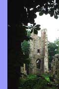 The ruins of St Mary's Church