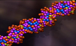 dna