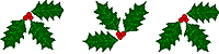 Holly
