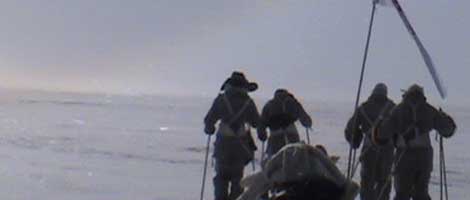 Polar Explorers