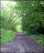 Path out of Castle Woods