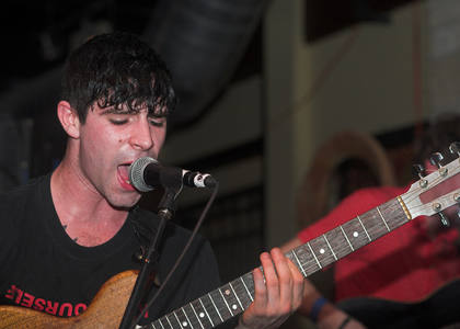 Foals