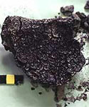 Image of the burnt pot remains found at crannog site
