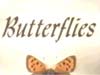 Love is like a butterfly...