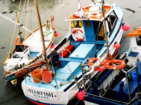 Boats in Porthleven harbour