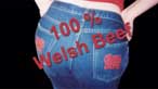 Stephanie's 100% Welsh bottom!