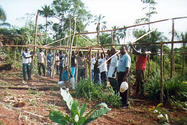 Building a new home for nursing students