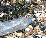 Litter