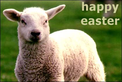 Lamb
