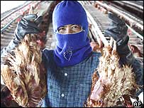 Frangos